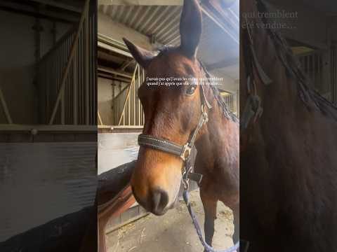 6 mois aujourd’hui…