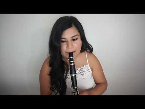 You're On Your Own, Kid - Taylor Swift (Clarinet Cover)