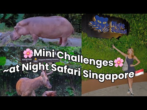 Visiting Night Safari Singapore in 2025