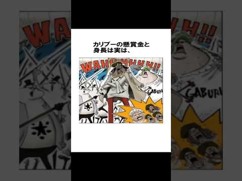【ワンピース】今から友達に言いたくなる面白い雑学#shorts #ワンピース #雑学 #ルフィ#麦わらの一味 #カリブー#スクアード#ジンベエ#ウソップ #チョッパー #ブルック