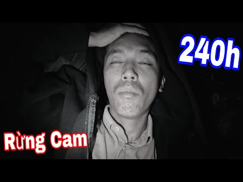 Toang RỒI!!! RỪNG CAM Đi Đễ Khó Về ? 240H Thật Thủ Săn Cá Lóc Rừng | SANG Vlog Về Nhà Thôi