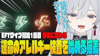 【EFT】運命のアレルギー検査を始める麦！新システム「モディファイア」から適度にヒリつけそうなバフデバフを選んでみたかもです！- Escap