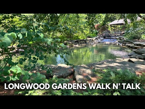 ဗီဒီယို။ Longwood Gardens Tour ❤️ ပန်းဖြတ်ခြင်း၊ တရားဝင်ဆေးပင်များ နယ်နိမိတ်များ၊ လဥ်ဥယျာဉ်