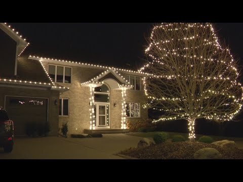 How to keep pests out of holiday lights