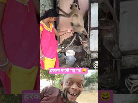 बंदर छेड़ना पड़ा महंगा 👍 #funny #comedy #humor #fatucomediyan #mankishort #varalshorts #short