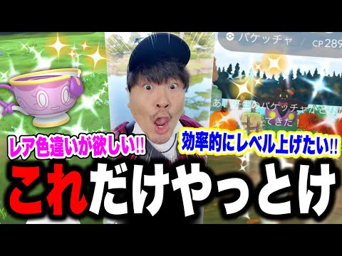 これ見たら絶対準備して!!!ハロウィン第二弾は色違い確率どーなってるの?!激アツの60分本日!!!