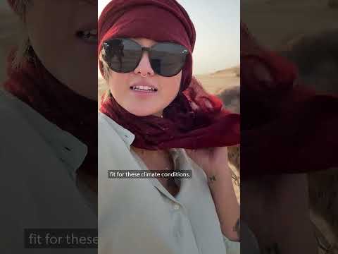 Paid content for @VisitAbuDhabiChannel