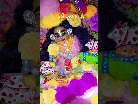 यह महामंत्र है हरे कृष्णा #shyam #radheshyam #laddu #krishnabhakti #naamjap #subscribe #krishnaseva