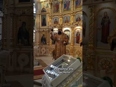 Епископ Бакинский и Азербайджанский Алексий (Смирнов), г.Ставрополь, Андреевский собор. 15.06.25.
