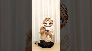 #おしゃれ番長 #かなり犬 #踊ってみた
