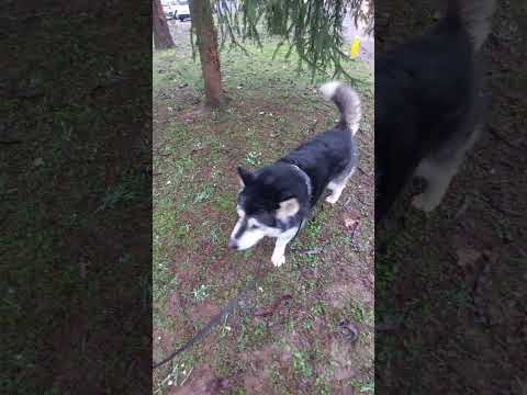 She would just walk across that field of spring plants