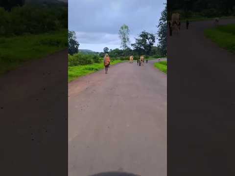 #draivingvedio #bollywood #hindisong