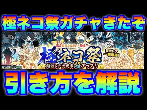 猫の動画サムネイル - 極ネコ祭ガチャ登場！引き方を解説（※キャラの詳細は概要にあります）　#にゃんこ大戦争　#battlecats