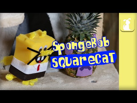SpongeBob SquarePants (Cute Kitten Version) - UCPIvT-zcQl2H0vabdXJGcpg