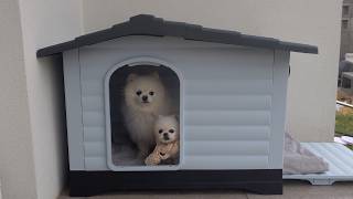 動画サムネイル