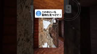 10秒で見つけられなければ野生では◯にます #shorts #クイズ #マイクラ #ゲーム
