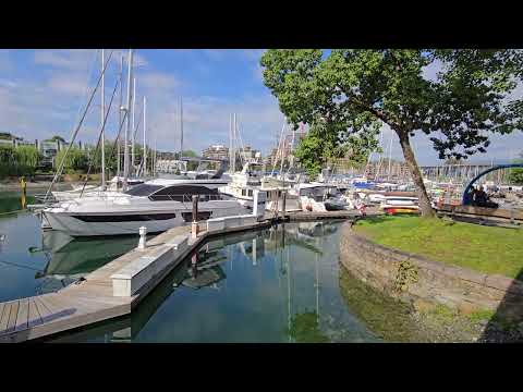 Lots of small fishes beside the docks #canada #vancouver #granvilleisland 