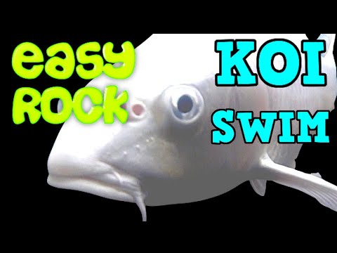 KOI SWIM Ep21  [ Soft Rock ]   EASY LISTENING !! KOI SWIM Ep21  [ Soft Rock ]   EASY LISTENING !! is a great companion for a chill session !!

More K