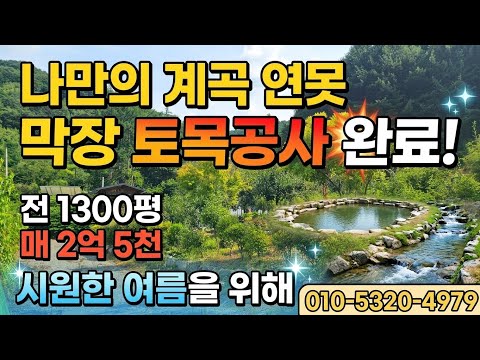 시원한여름 막장계곡연못 주변조용한곳 최고의땅 건축허가득 소나무야꽃나무야 전1300평 매2억5천 010-5320-4979 매번70719