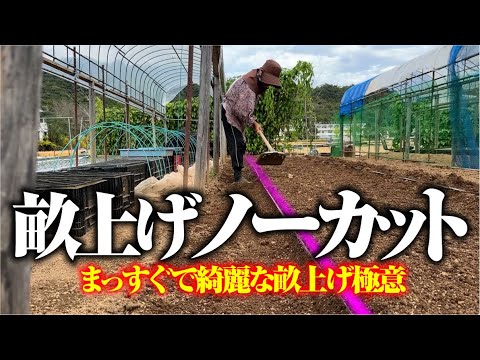 【これがリアル】ひろちゃんの畝上げ【カツオ菜】【四つ鍬】【ジョレン】