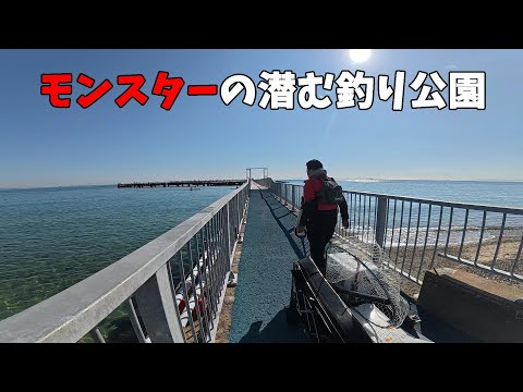 リニューアルした須磨海釣り公園がめちゃくちゃ快適でした。【BougeRV 電動キャリーワゴン 楽GoWagon】