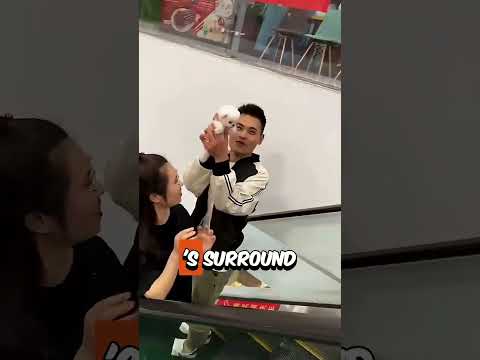 那些坏男孩偷走了所有女孩的小狗 🥹💔