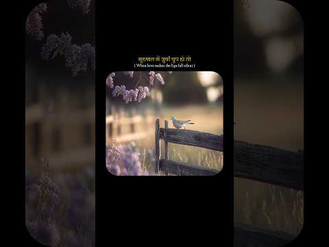 All Song Are Okay But This Song These Lines ✨ | Mohhabat Main Zuban Chup Ho Toh 🤌🏻💗 | #shorts #love