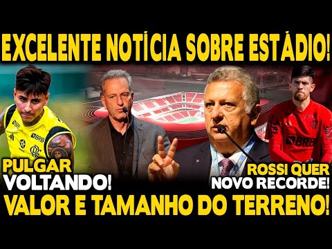 EXCELENTE NOTÍCIA! ESTÁDIO DO FLAMENGO: VALOR DO TERRENO E TAMANHO! SAIBA TUDO! PULGAR VOLTANDO!