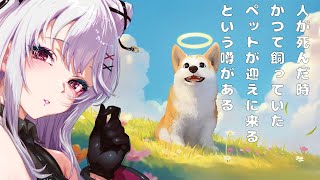 【#マイリトルパピー/ My Little Puppy】猫飼いが見る犬の感動物語【 Vtuber / 朱羽美寧 】