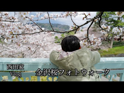 【西田家Vlog】金澤旅!親子で櫻フォトウォーク🌸📷