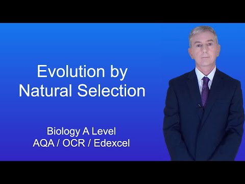 A Level Biology Revision “Evolution by Natural Selection”