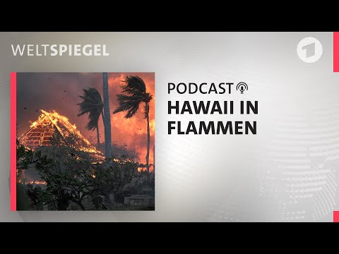 Megafeuer im Paradies – Hawaii nach dem Brand | Weltspiegel Podcast
