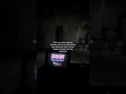 I’m never doing this again