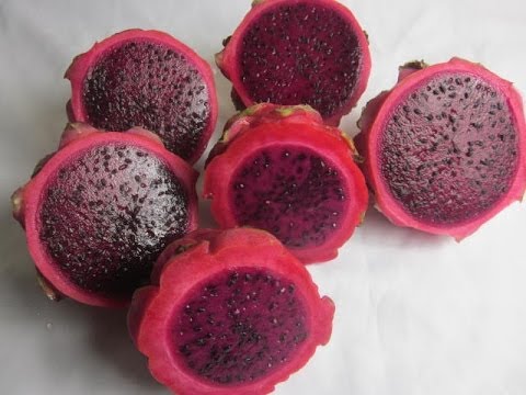 Beneficios de la pitaya - UCIRNADSE7zTt6_MshDlnZSA