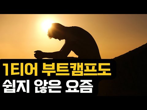 1티어 부트캠프 출신들도 힘들다