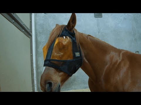 REM Mask from Xpert Equine