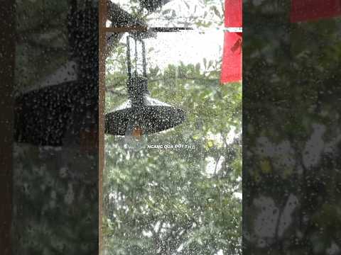 Xin làm người lữ khách ngang qua đời thôi