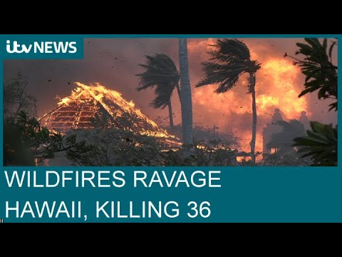 Hawaii: 'Apocalyptic' wildfires leave at least 36 dead on island of Maui | ITV News