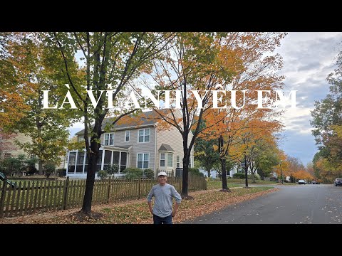 Là Vì Anh Yêu Em (Blues Rock)