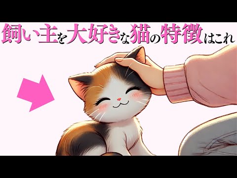 猫の動画サムネイル - 【飼い主のことが大好きな猫の特徴】 猫の雑学 #猫 #ねこ