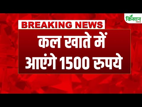 #breakingnews: Ladli Behna Yojana की 26वीं किस्त कब आएगी? जानिए लेटेस्ट अपडेट!