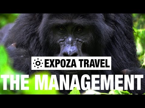 Natural Parks: The Management (Africa) Vacation Travel Video Guide - UC3o_gaqvLoPSRVMc2GmkDrg