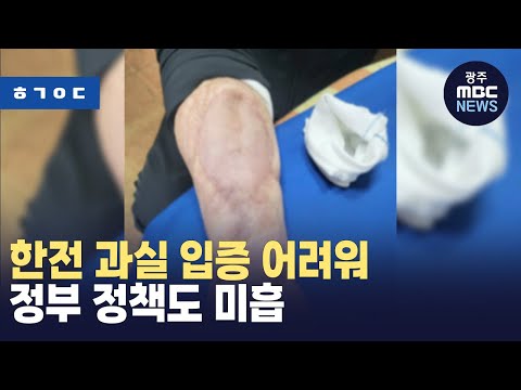 [뉴스데스크][한걸음더]한국전력 오조작 사고 기획 ③ 한전 과실 입증 어려워..정부 정책도 미흡