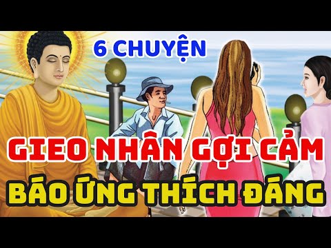 Nhân Quả Báo Ứng: Bài Học Sâu Sắc Từ Câu Chuyện Lầm Lỡ Của Cô Gái Gieo Hạt Tội Lỗi