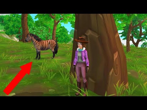 Catching A Zony ! Zebra Pony Mix - Buying A New Star Stable Horse - Roleplay Video - UCIX3yM9t4sCewZS9XsqJb9Q