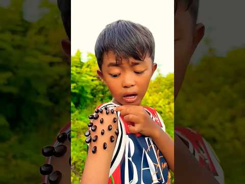 ASMR#633 AMERICA'S 💡✨🥰😫ORIGINAL DUBBLE BUBBLE GUM (3 FRUIT FLAVORS) AND.