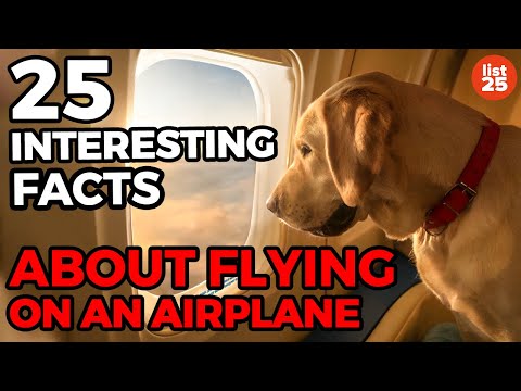 25 Things Nobody Ever Told You About Flying On An Airplane - UCWqJpFqlX59OML324QIByZA