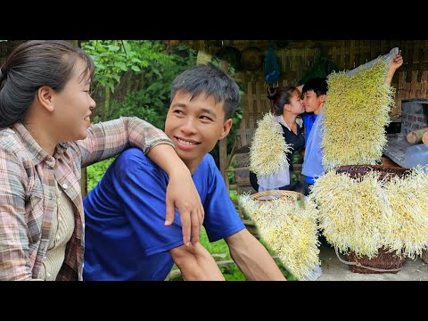 How to grow green Bean Sprouts simply, Effectively - Harvest after 3 days of selling at the market.