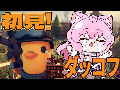 【エスケープ フロム ダッコフ】面白すぎて無限に遊べるらしいダッコフをやってみる！！！【博衣こより/ホロライブ】