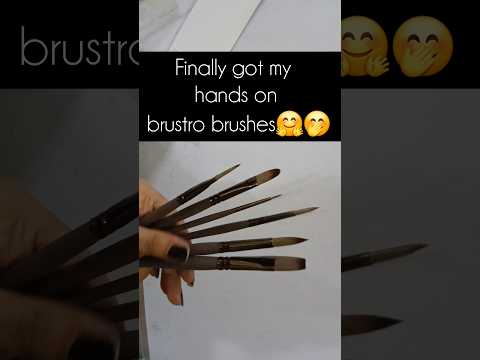 These brushes might just change my art game forever 👀🎨 #BrustroUnboxing #brustro #paintingbrushes